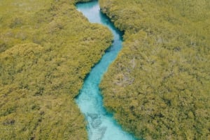 Tulum: Discover Scuba Diving in Cenotes