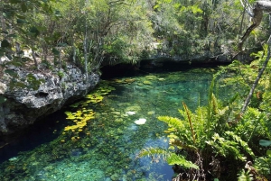 Tulum: Sian Ka'an Biosphere Eco Park Extreme