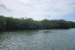 Tulum: Tour guiado por la Biosfera de Sian Ka'an