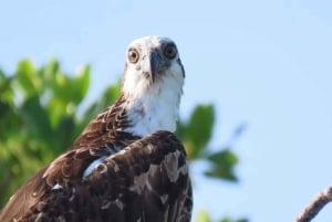 Tulum: Tour guiado por la Biosfera de Sian Ka'an