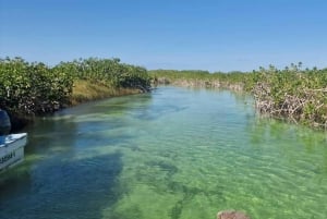 Tulum: Tour guiado por la Biosfera de Sian Ka'an