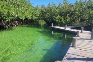 Tulum: Tour guiado por la Biosfera de Sian Ka'an