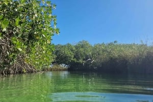 Tulum: Tour guiado por la Biosfera de Sian Ka'an