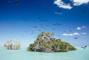 Tulum: SIAN KAAN Boat Safari Tour Unesco World Heritage site