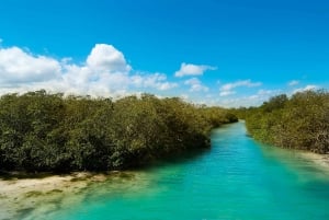 Tulum: SIAN KAAN Boat Safari Tour Unesco World Heritage site