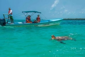 Tulum: SIAN KAAN Boat Safari Tour Unesco World Heritage site