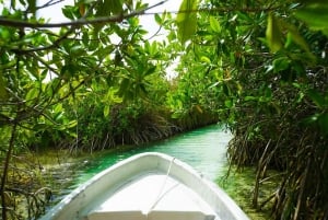 Tulum: SIAN KAAN Boat Safari Tour Unesco World Heritage site