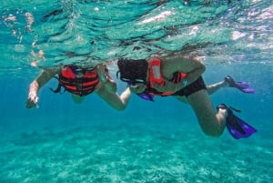 Tulum: Snorkeling at Paradise Reef