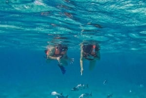 Tulum: Snorkeling at Paradise Reef