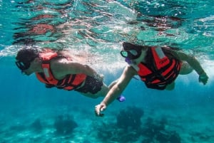 Tulum: Snorkeling at Paradise Reef