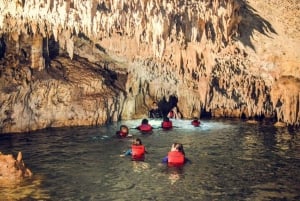 Tulum: ¡Avistamiento de tortugas en Akumal! Cenote subterráneo