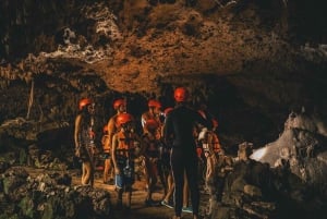 Tulum: ¡Avistamiento de tortugas en Akumal! Cenote subterráneo