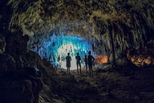 Tulum: Turtle Sighting at Akumal! Undergound Cenote