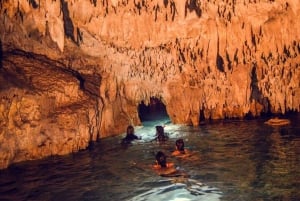 Tulum: ¡Avistamiento de tortugas en Akumal! Cenote subterráneo