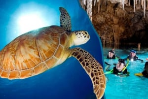 Tour de tortugas y cenotes