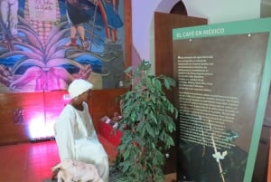 Tuxtla: Visita guiada al Museo del Café con degustación