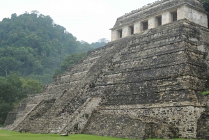 Tuxtla Gutierrez: Palenque Ruins Day Tour with Breakfast