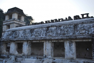 Tuxtla Gutierrez: Palenque Ruins Day Tour with Breakfast