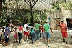 Tuxtla: ZooMAT Guided Tour with Hotel Pickup