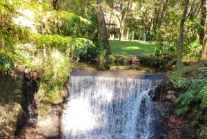 Excursión a Valle de Bravo: Paseo por Pueblo Mágico y Moto de Agua