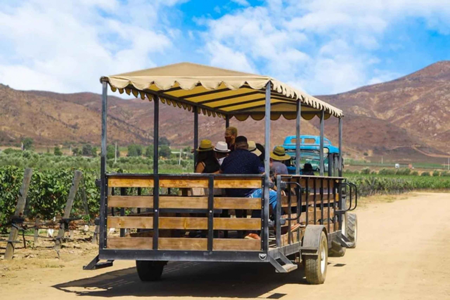 Valle de Guadalupe: Vineyard Tour and Wine Tasting in Cart