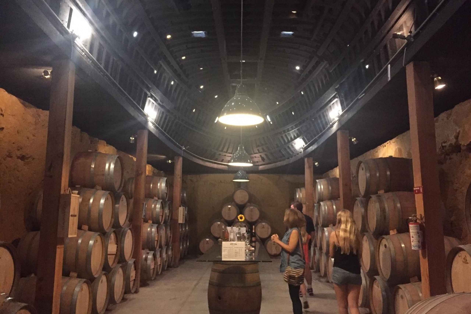 Valle de Guadalupe Wine Tasting Tour