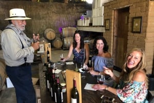 Valle de Guadalupe Wine Tasting Tour