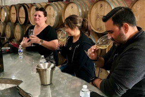 Valle de Guadalupe Wine Tasting Tour