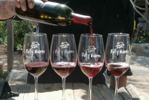 Valle de Guadalupe Wine Tasting Tour