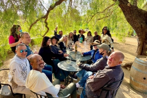 Valle de Guadalupe Wine Tasting Tour