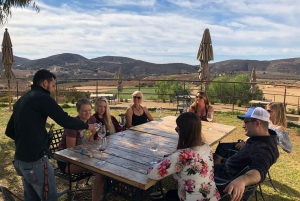 Tour de Cata de Vinos del Valle de Guadalupe