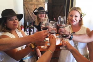 Valle de Guadalupe Wine Tasting Tour