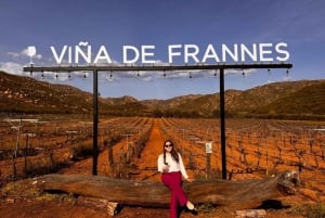 Valle de Guadalupe: Winery Tour with Tastings