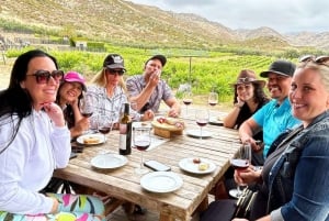 Valle de Guadalupe: Winery Tour with Tastings