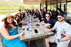 Valle de Guadalupe: Winery Tour with Tastings