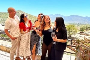 Valle de Guadalupe: Winery Tour with Tastings