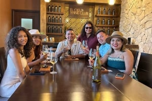 Valle de Guadalupe: Winery Tour with Tastings