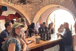 Valle de Guadalupe: Winery Tour with Tastings