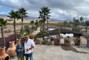 Valle de Guadalupe: Winery Tour with Tastings