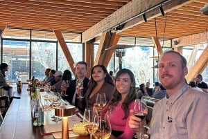 Valle de Guadalupe: Winery Tour with Tastings