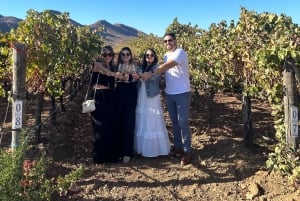 Valle de Guadalupe: Winery Tour with Tastings