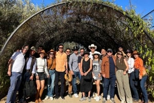 Valle de Guadalupe: Winery Tour with Tastings