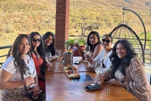 Valle de Guadalupe: Winery Tour with Tastings