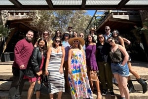 Valle de Guadalupe: Winery Tour with Tastings