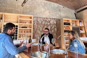 Valle de Guadalupe: Winery Tour with Tastings