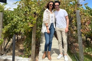 Valle de Guadalupe: Winery Tour with Tastings