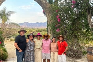 Valle de Guadalupe: Winery Tour with Tastings