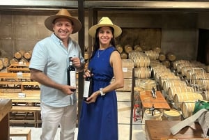 Valle de Guadalupe: Winery Tour with Tastings