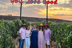 Valle de Guadalupe: Winery Tour with Tastings