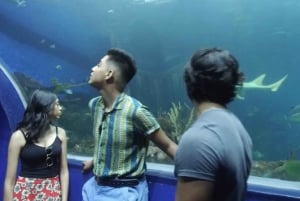 Veracruz: 5-Attraction Tour with Aquarium and Boat Tour